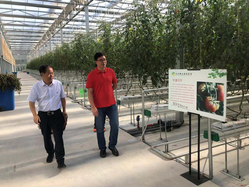 201908211566349494564576.jpg 2.jpg