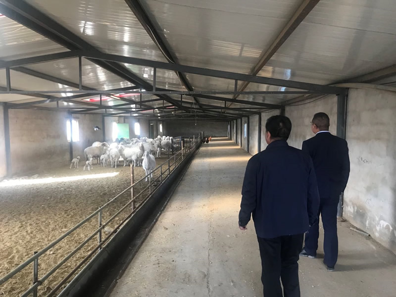 201911271574842172465905.jpg 6.jpg